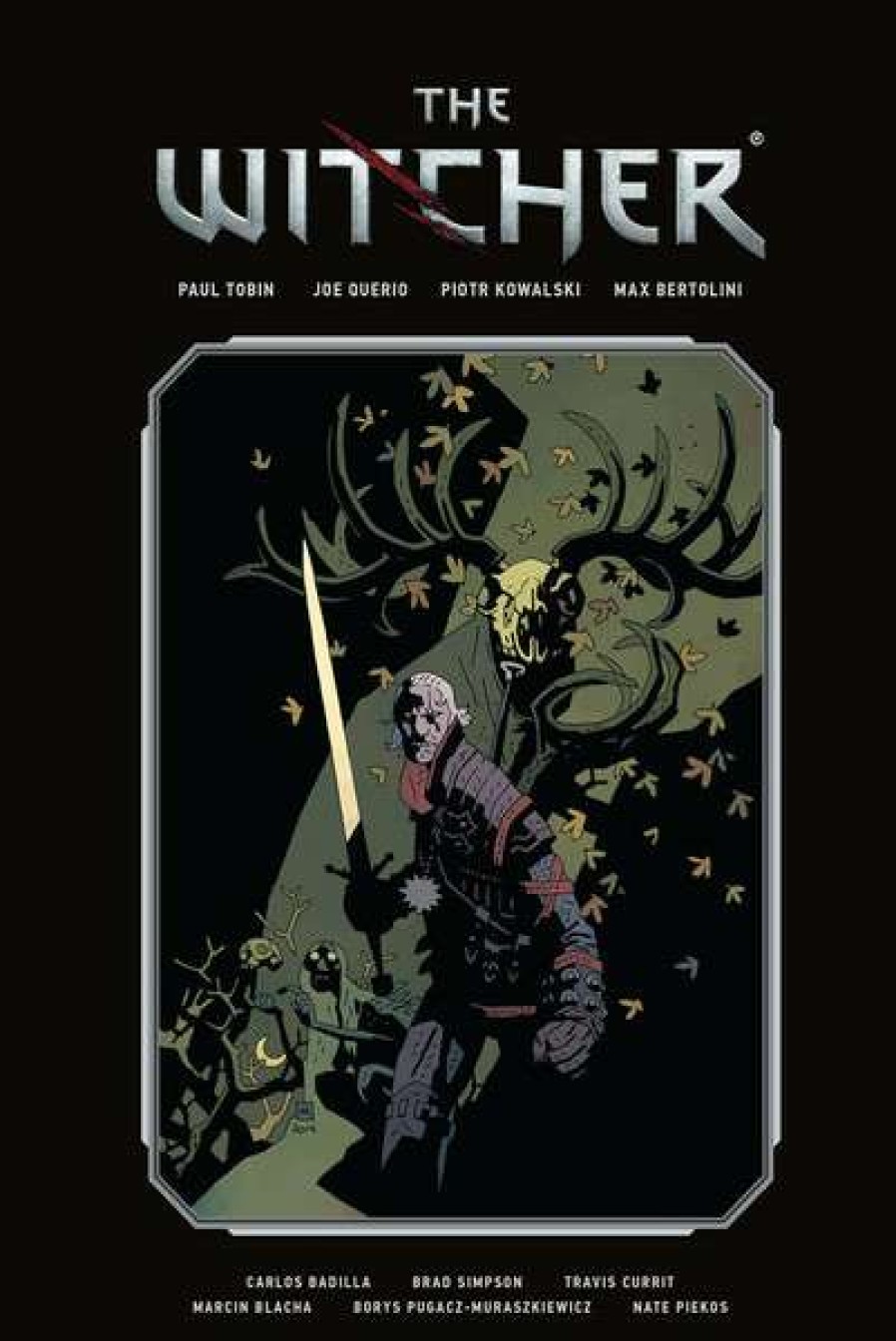 Graphic Novel * | Dark Horse The Witcher Graphic Novel Volume 1 Library Edition (Hardcover)